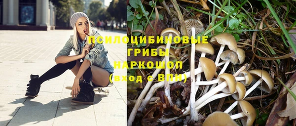 первитин Ладушкин
