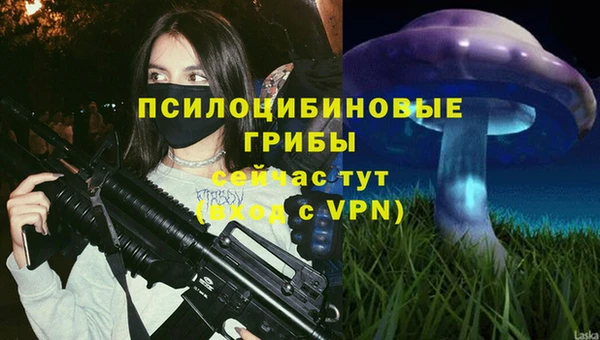 первитин Ладушкин