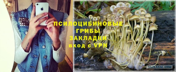 первитин Ладушкин