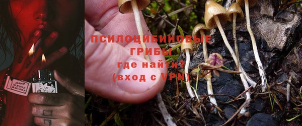 первитин Ладушкин