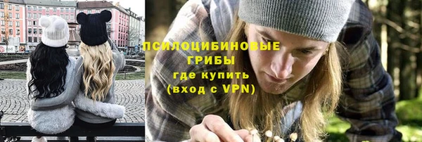 2c-b Лабытнанги